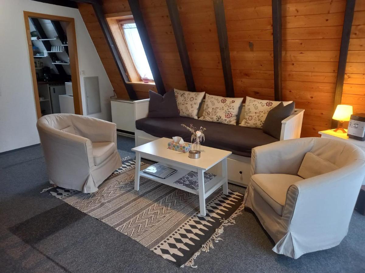 Gemuetliches Ferienhaus Mit Sonniger Terrasse Frankenwald Naehe Badesee Smart-Tv Lichtenberg  Extérieur photo